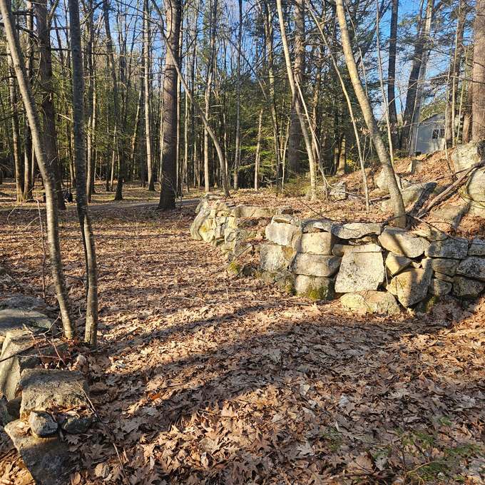 Leaf-covered ground along a stone wall before cleanup