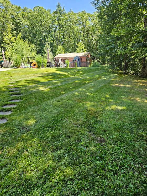 Mowed back lawn with clean stripes beside a pool fence