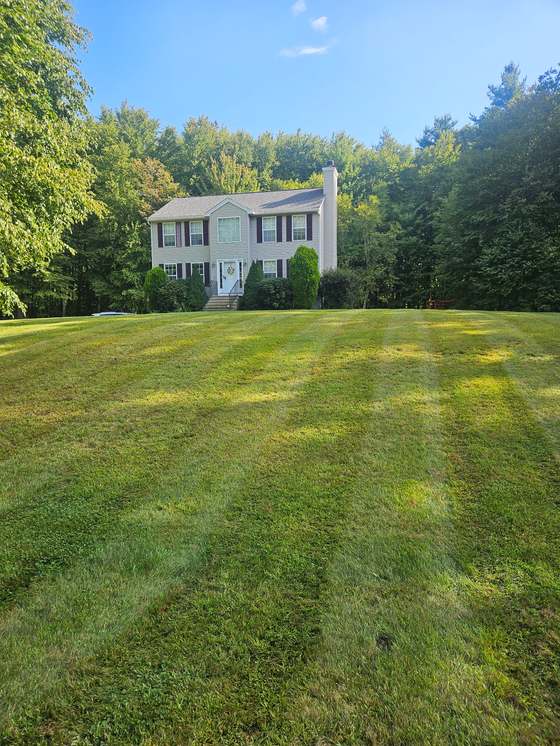 Sloping front lawn mowed in even stripes